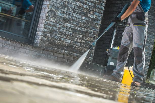 Best Fleet Vehicle Washing  in Lakemoor, IL